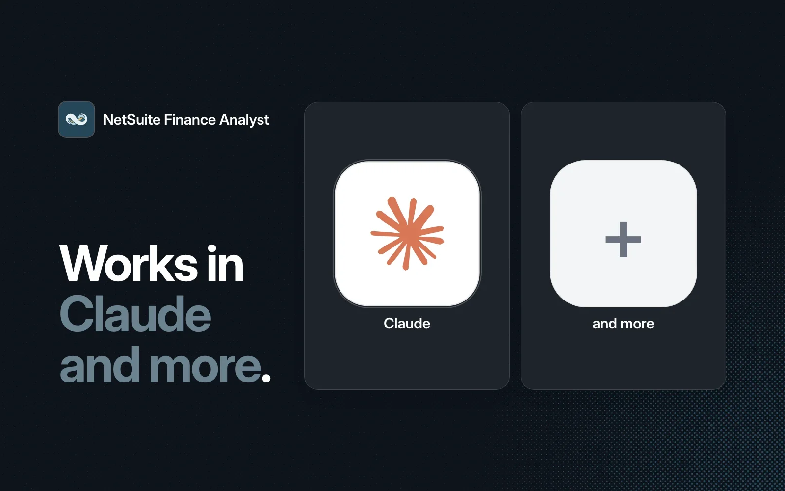 NetSuite Finance Analyst works in Claude and more agents.