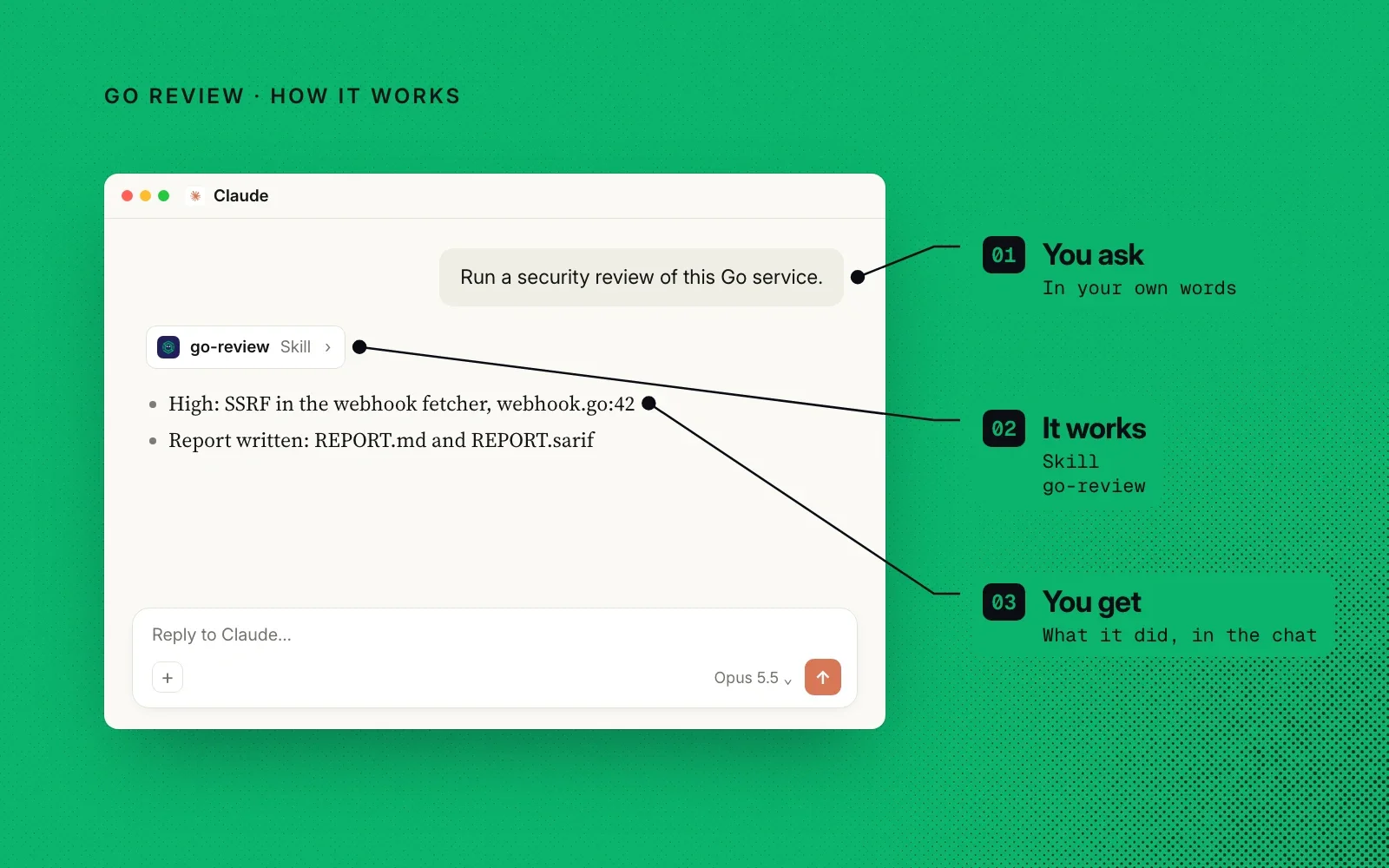 How it works, in an example: you ask in your own words, the go-review skill runs, and you get its findings in the chat.