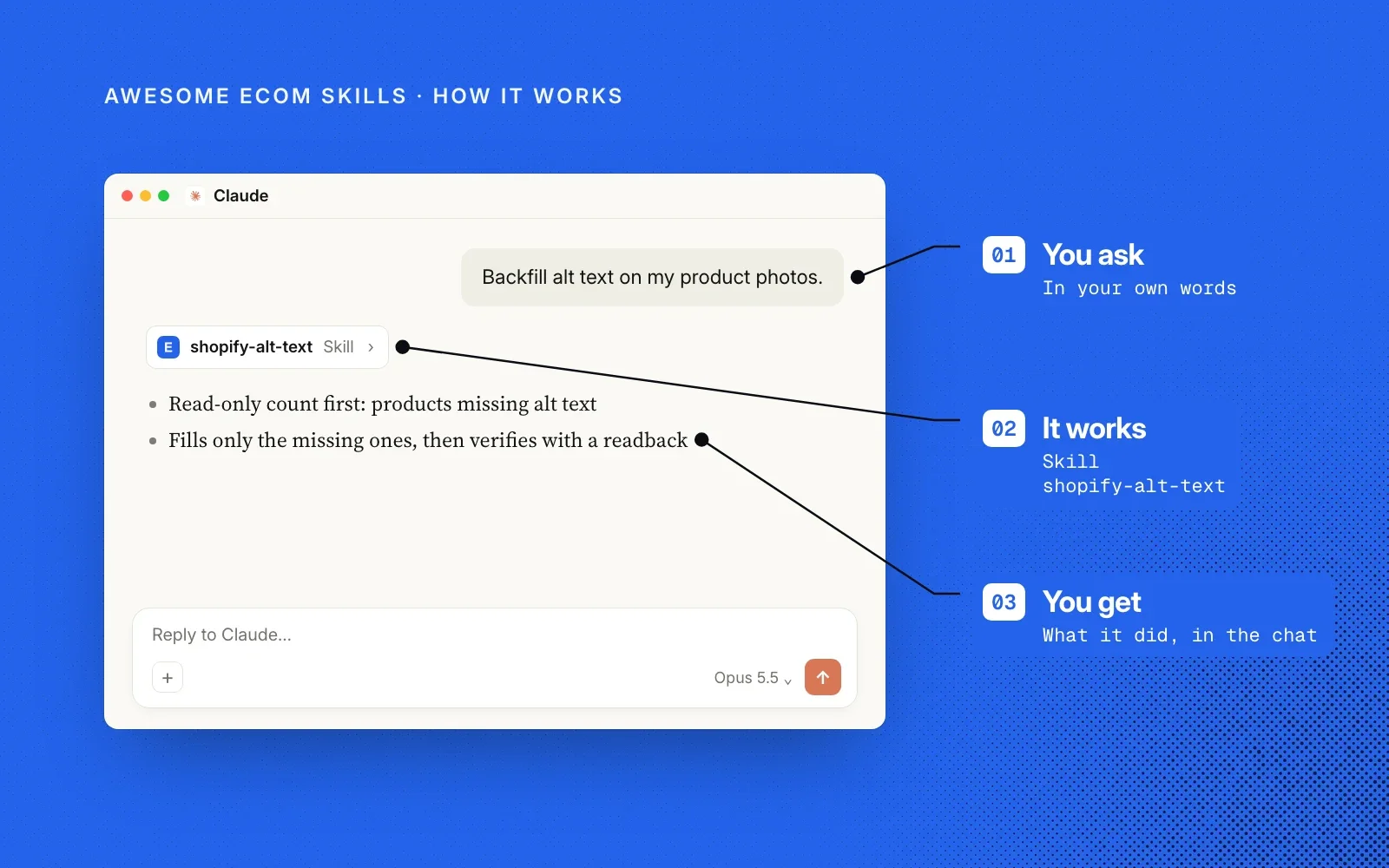 How it works: you ask in your own words, the shopify-alt-text skill runs, and you get what it did in the chat.